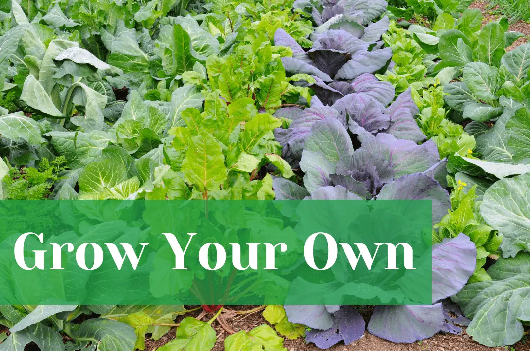 Grow your own header